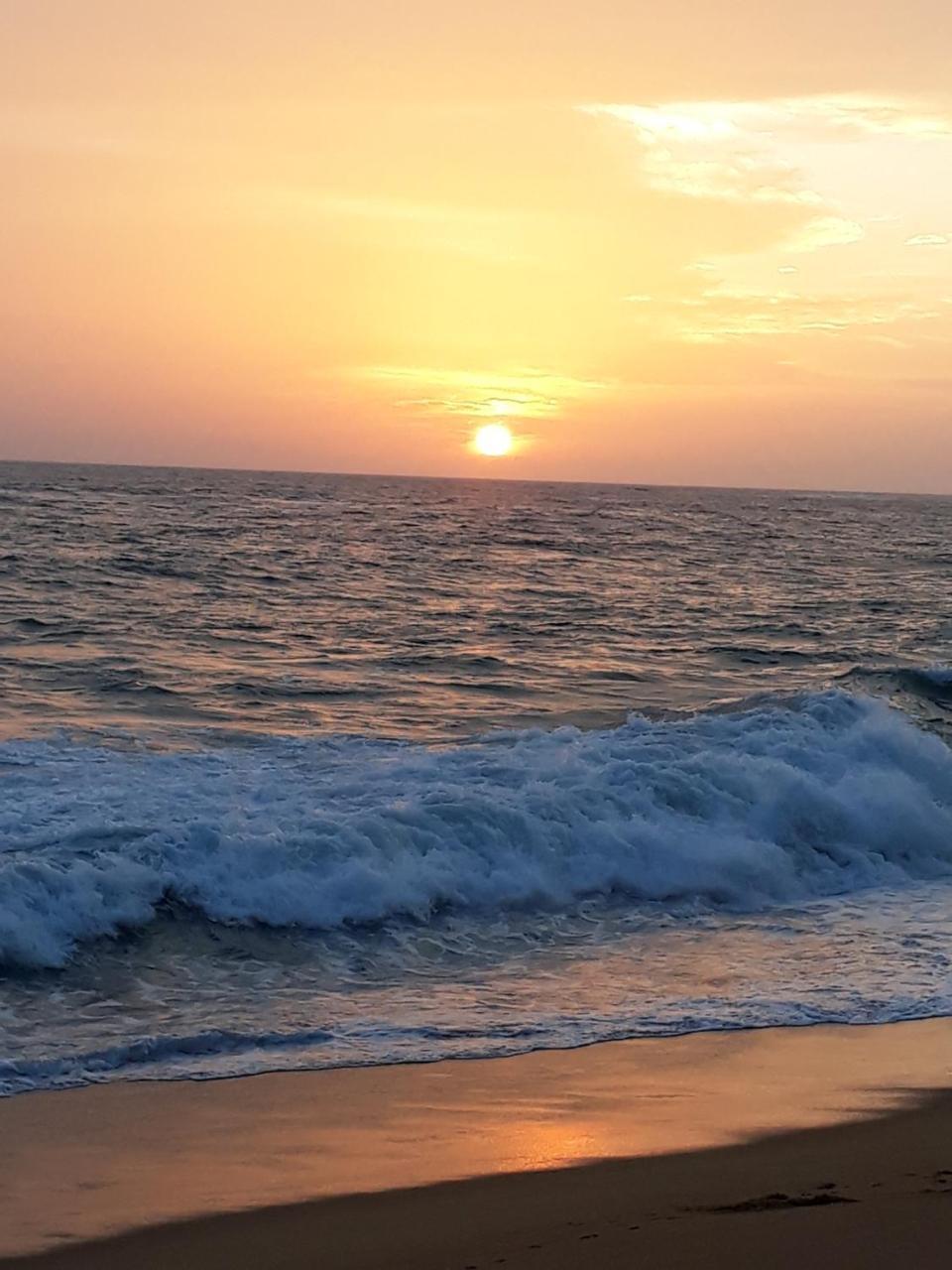 Oynise شاليه